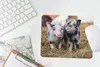 MuchoWow® Mauspad Mousepad Schwein - Tiere - Ferkel 23x19 Produktbild-Vorschau 5