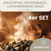 HAF Saunaaufguss Set „Waldfrische“ - 4 x 100ml Sauna Produktbild-Vorschau 2