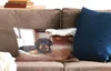 MuchoWow® Zierkissen Sofakissen Wohnzimmer Dekokissen 50x30 Produktbild-Vorschau 2