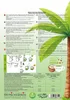 Matcha Cocos Latte Mix – cremoso, naturale e senza zucchero Anteprima dell’immagine prodotto 2