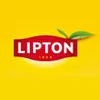 Lipton Earl Grey zwarte thee, 92 zakjes van 138 gram Productafbeelding-voorbeeld 8