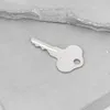 2er-Pack Zündschlüssel für GEHL Lader, Ersatz OEM 089070 Produktbild-Vorschau