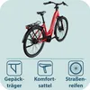 Tretwerk Amber Nexus E Bike Damen 28 Zoll Elektrofahrrad Produktbild-Vorschau 8