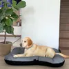 A dog is lying on a dog bed next to a potted plant. Produktbild-Vorschau