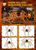 Décoration d'Halloween, araignée géante de 150 cm, araignée Voir les images du produit 5