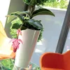 Prosperplast 12352 Doniczka TUBUS SLIM 20 cm, biała Podgląd zdjęcia produktu 11