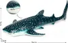 Simulation animal marin Modèle requin baleine Big Buckel Voir les images du produit 1