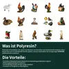Gartenfiguren wetterfeste Vögel, Adler, Eichhörnchen und Produktbild-Vorschau 8