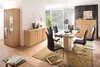Schwingstuhl Küchenstuhl Esszimmerstuhl Schwinger Stuhl Produktbild-Vorschau 6