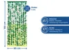 WENKO Tür Vorhang Blätter 90x190cm Klett Balkon Terrassen Produktbild-Vorschau 4