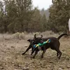 Ruffwear Pacific Loop Spielzeug Aurora Teal Produktbild-Vorschau 9