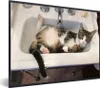 MuchoWow® MuchoWow® Gerahmtes Poster Katze - Waschbecken - Produktbild-Vorschau 1