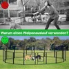 A collage showing a woman struggling with a dog on a leash in a park, contrasted with dogs playing freely in a fenced enclosure. Voir les images du produit