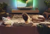 A person is relaxing on a couch watching TV in a living room. The soundbar is placed on the TV stand. Voir les images du produit