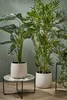 Mica Decorations Bambus Kunstpflanze - H150 x Ø85 cm - Grün Produktbild-Vorschau 2