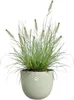 elho 3205106037900, vert, plastique, rond, 59 cm, 510 mm, 1 Voir les images du produit 3