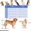 Zimilo Verstellbar Hunde-Rollstuhl, Aluminium, Weich Produktbild-Vorschau 7