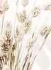 Trayosin 3szt Boho Pampas Grass Poster Set Nature Canvas Podgląd zdjęcia produktu 7