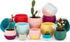 Lot de 7 pots de fleurs avec drainage 0,55 L pour cactus, Voir les images du produit 2