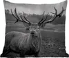 MuchoWow® Outdoor Kissen - Tiere - Hirsch - Geweih - Produktbild-Vorschau 1