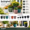 Prosperplast Pflanztopf Buckingham - elfenbeinweis - D23 cm Produktbild-Vorschau 2