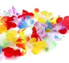 Schramm® 30 Stück Blumenketten Multicolor Bunt Blumenkette Produktbild-Vorschau 2