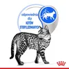 Royal Canin Indoor Sterilized, Adult, jede Rasse, Fleisch, Produktbild-Vorschau 4