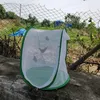 Duża, zielona klatka dla owadów - składane siedlisko motyli Podgląd zdjęcia produktu 8