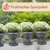 4er Set Blumentopf mit Ständer Pflanzenständer Produktbild-Vorschau 8
