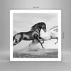 Poster - Poster ohne Rahmen - Pferde Tiere Galopp Wiese - Produktbild-Vorschau 4