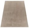 Tapis lavable Salon Tapis à poils courts Style moderne Voir les images du produit 5