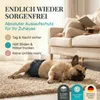 HUND IST KÖNIG Hundewindeln für Rüden [3 Stk], M (Taille Produktbild-Vorschau 2