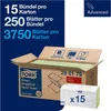 Handtuch grün 2lagig Tissue Zickzack-Falzung L.230xB.250 Produktbild-Vorschau 13