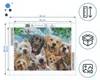 ARTULIO Diamond Painting Set - Gruppe niedlicher Welpen im Produktbild-Vorschau 4