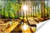 Muralo Vlies Fototapete WALD Sonne Bäume Natur Landschaft Produktbild-Vorschau 1