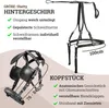 Esposita Einspännergeschirr "Anatomic" Schwarz Gr. Shetty Produktbild-Vorschau 4