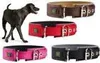 Hunter Halsband Neopren Reflect Produktbild-Vorschau 2