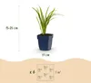 Green boutiQ - Staude - Hemerocallis Autumn Red - Taglilie Produktbild-Vorschau 3