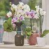 Gardena 11110-20, Czarny, 0,75 l, 1 szt. Podgląd zdjęcia produktu 32