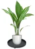 Blumentopfständer auf Rädern 30 cm Produktbild-Vorschau 12