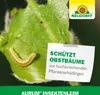 Neudorff Aurum InsektenLeim 125g für über 4m Produktbild-Vorschau 6