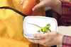 KitchenYeah® Lunchbox Brotzeit Brotdose 17x11 cm Eidechse - Produktbild-Vorschau 4