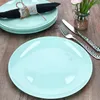 sada 6 mátových skleněných talířů Ø 24,4 cm grilovací talíř Náhled obrázku produktu 3