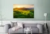 MuchoWow® Poster Gras - Hügel - Sonne - Natur - Landschaft Produktbild-Vorschau 5