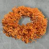Schleierkraut Kranz 30 cm – Orange Trockenblumenkranz | Produktbild-Vorschau 2