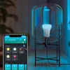 Pachet 2 becuri LED RGB inteligente Philips Hue A60, Podgląd zdjęcia produktu 13