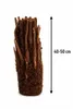 Baumfarn Dicksonia antarctica 40–50 cm | Kahler Stamm | Produktbild-Vorschau 5