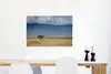 MuchoWow® Poster Strauß inmitten der Savanne des Produktbild-Vorschau 4