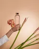 Nesúlad Bloom Náhľad obrázku produktu 5
