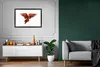 MuchoWow® Gerahmtes Poster Ara - Vogel - Federn - Weiß Produktbild-Vorschau 8